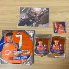 Item thumbnail for item 48a88842-ab91-4c08-9a34-eb431cd46364