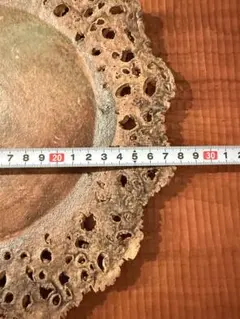 Item thumbnail for item d78f17d3-589f-4db7-be44-11fe38fec847