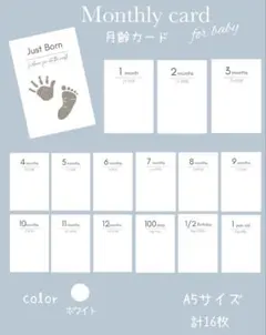 Item thumbnail for item 16d8273e-8af8-43d5-9383-7f75de98b78a