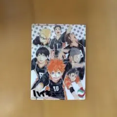 バラ売り可能 非売品 ハイキュー!! FLY HIGH カード クリアファイル m65662528204_1.jpg?1698031657