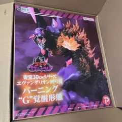 2025年最新】東宝30cmシリーズ エヴァの人気アイテム - メルカリ