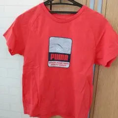 PUMA 赤 ラウンドネック Tシャツ