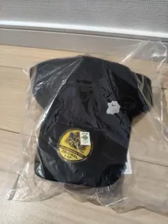 ぽこあポケモン 特典 キャップ エディオン メタモン