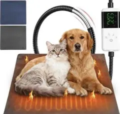 Item thumbnail for item 8f420626-50f8-448a-bf8e-c1fff058926e