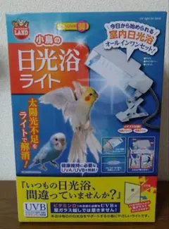 Item thumbnail for item a54f895a-4922-435b-820b-262f19d4e205