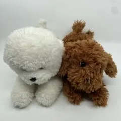 サンレモン 犬 いぬ ビションフリーゼ トイプードル ぬいぐるみ ひざわんこのサムネイル