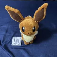 【新品未開封】ポケットモンスター やさしいきもち ぬいぐるみ　～イーブイ～