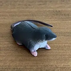 Furuta チョコエッグ 日本の動物 カワネズミ フィギュアのサムネイル