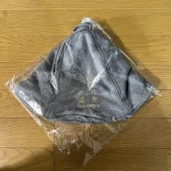 Item thumbnail for item d5f3b303-57b2-48e7-b647-81bece897fc1