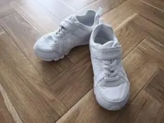 Item thumbnail for item 593a72d7-ddd2-41ce-97af-32113768ac3f