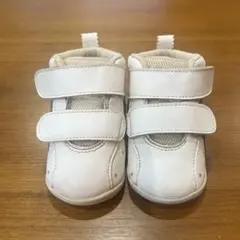 Item thumbnail for item 90bac6d1-99c1-48d5-9e9c-1f6dc18c3d6e