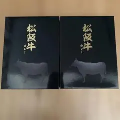 こだわり 兵庫但馬牛カレー 辛口 甘口 1個ずつセット - メルカリ