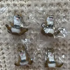 Item thumbnail for item 36c70373-05e1-428d-964a-c6863e2b295b