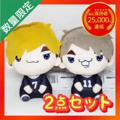 ハイキュー‼︎ もちぴこぬいぐるみ ⑨ 【全2種類コンプリートセット】