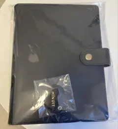 Item thumbnail for item c1a8c50a-d321-4145-8ae5-e867d0cd4a6b