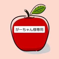 がーちゃん様専用
