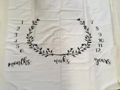 Item thumbnail for item 8e7005ff-a8e7-4e6e-ba3b-f1a926096360