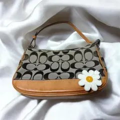 COACH コーチ ハンド バッグ シグネチャー キャンバス フラワー パッチ