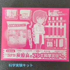 コナン 灰原哀のふしぎ化学実験キット