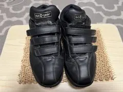 Item thumbnail for item 04e72b85-a700-4463-b6a1-2433f1fe9330