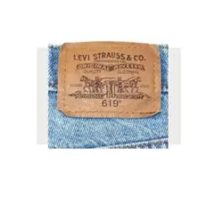 ▪️90‘s【LEVI‘S】 PANTS カナダ製 アイスブルー 90年代 619のサムネイル