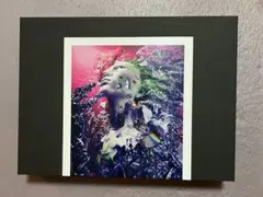 hide RE:CYCLE 30th Anniversary Box - メルカリ