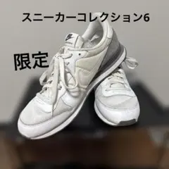 ナイキ　インターナショナル　限定カラー　ホワイト　グレー