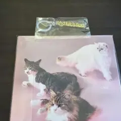My Hair is Bad　cats 初回限定盤　めじるしアクセサリーセット