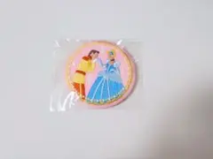 ディズニー 刺繍缶バッジ 第一弾