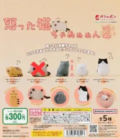 怒った猫ちゃあぁぁん2 カプセルトイ 4種セット