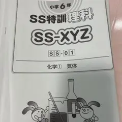 SAPIX 最新版SS理科特訓小6 SS-XYZ 時事演習XYZKA特開成コース SAPIX 最新版SS理科特訓小6 SS-XYZ 時事演習XYZKA特開成コース - メルカリ