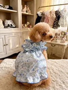 バルーンワンピース　犬服・猫服　ワンピース　ハンドメイド　チューリップ