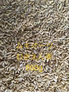 무키오트 (껍질을 벗긴 보리) 900g