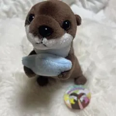 おねだりカワウソ ぬいぐるみ