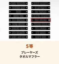 読売ジャイアンツ　オータムクジ