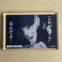 WINDBREAKER アクリルブロック 桜遥