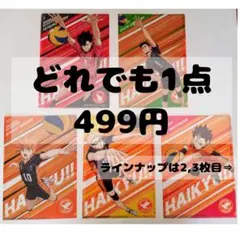⑫【どれでも1点499円‼️】 ハイキュー クリアファイルコレクション 第10弾