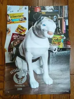 Item thumbnail for item 3c38fe24-99eb-41b2-a623-887a5d8c5f8e