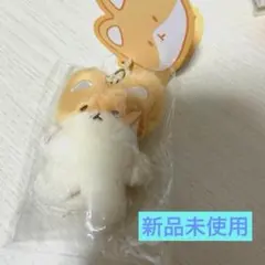 2026年最新】TEOLAEGIの人気アイテム - メルカリ