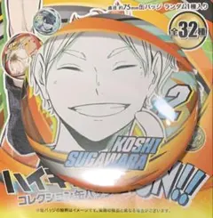 ☆ ハイキュー!!　ファンパーク　コレクション缶バッジ　菅原孝支