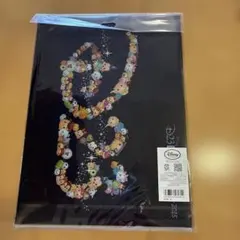 未開封　2015年ディズニー限定ファイル