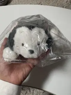 ペンケース　フィガロ