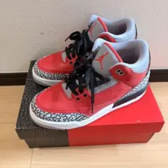 NIKE AIR JORDAN 3 RETRO SEのサムネイル