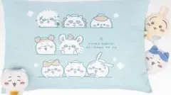 ちいかわ　一番くじ　ラストワン