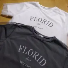 esseme　エシーム　半袖チュールTシャツ　ティーシャツ　カットソー　トップス