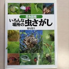 Item thumbnail for item 2dabea1c-94b6-48cd-a9fa-b44983272272