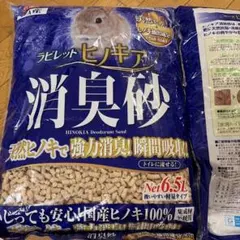 Item thumbnail for item 2c28c7be-276c-4394-9fae-03f08a4ef25a