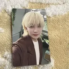 SEVENTEEN 消費期限　ジョンハン　通常盤　トレカ