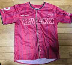 Item thumbnail for item 5a0bc3a9-ae6a-4ca5-8000-cef307ddff8e