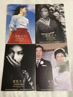 若尾文子 映画祭 Side.A Side.B 2種 フライヤー　25部セット